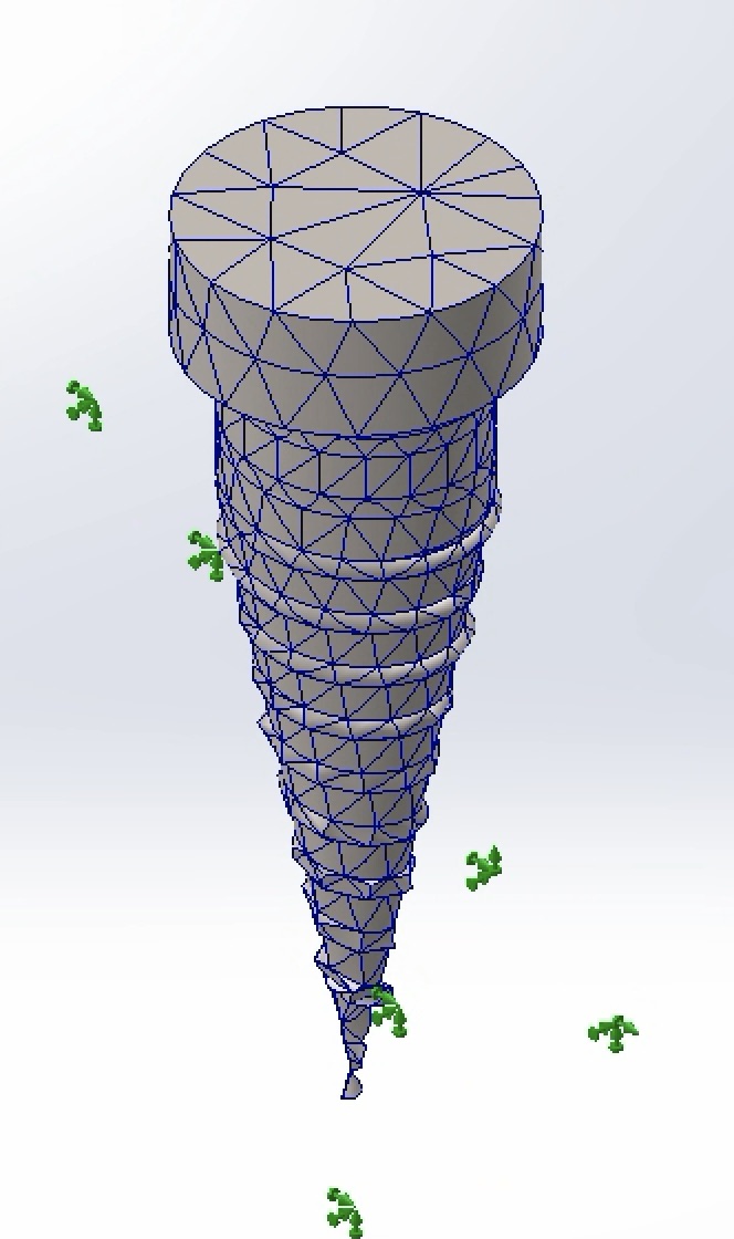 Mesh view of the dental implant